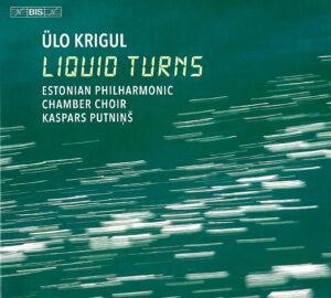 Image for Ülo Krigul. liquid turns